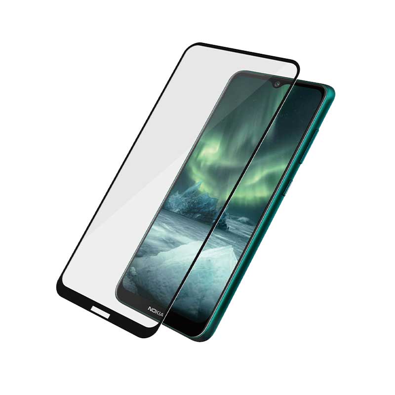 DUX DUCIS Tempered Glass Full Coveraged (Nokia X20 / X10) black