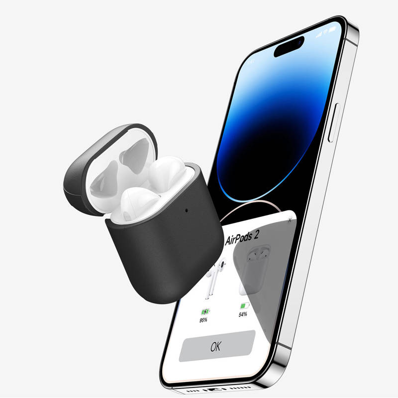 Dux Ducis Plen Case (AirPods 1 / 2) black