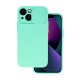 Camshield Soft Case Back Cover (iPhone 13 Pro Max) mint