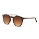 Solo-Solis Leo WayFarer 2451 Sunglasses